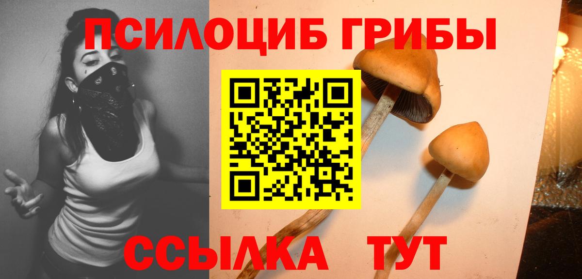 Галлюциногенные грибы прущие грибы  Вход с VPN  Артём 